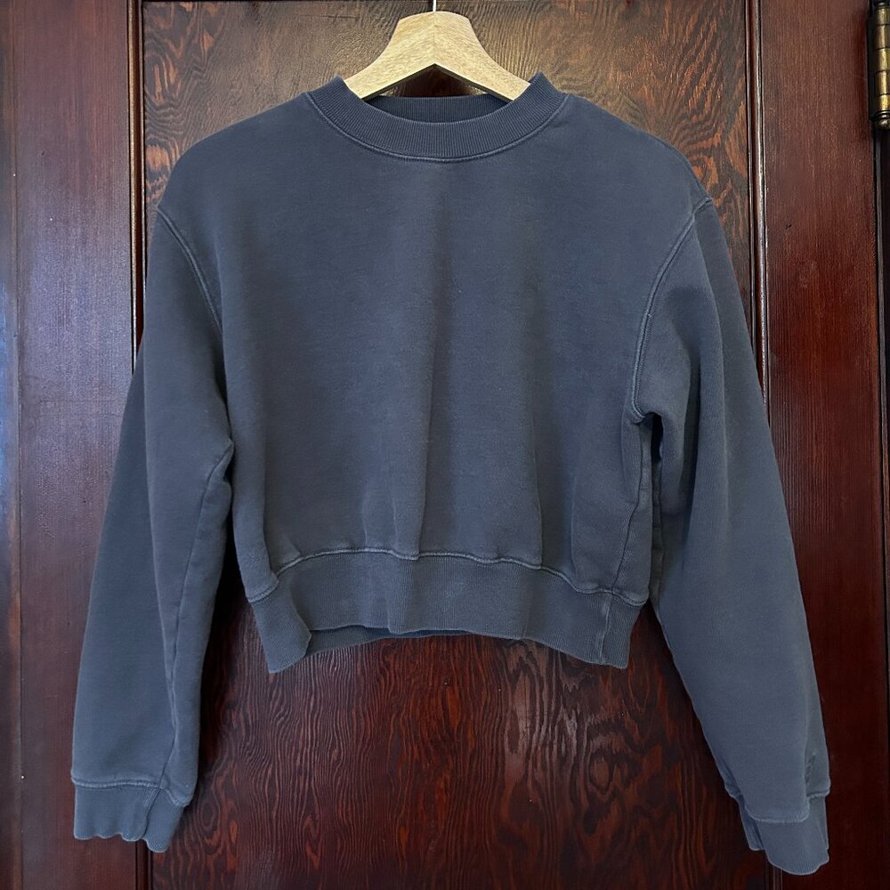 Aritzia TNA cropped crewneck sweatshirt - dark grey - S